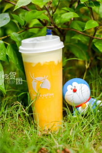 火爆全福州的小鹿茶測評(píng)來了！一口氣喝了5杯，你的夏日飲品要更新了